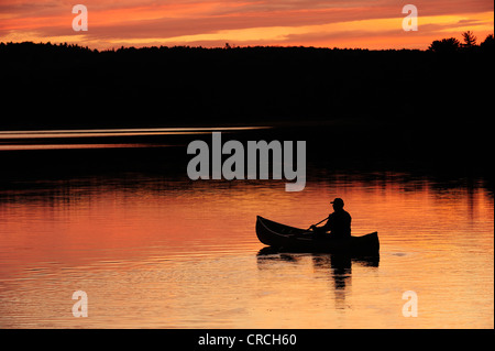 Pagaiando una canoa su un lago nella luce della sera, Algonquin Provincial Park, Ontario, Canada Foto Stock