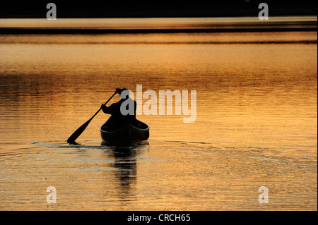 Pagaiando una canoa su un lago nella luce della sera, Algonquin Provincial Park, Ontario, Canada Foto Stock