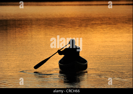 Pagaiando una canoa su un lago nella luce della sera, Algonquin Provincial Park, Ontario, Canada Foto Stock