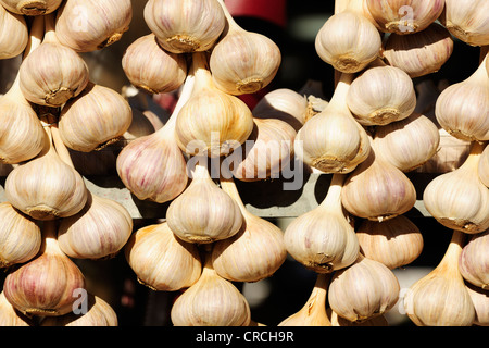 Aglio, display di mercato in un mercato di Montreal, Quebec, Canada Foto Stock