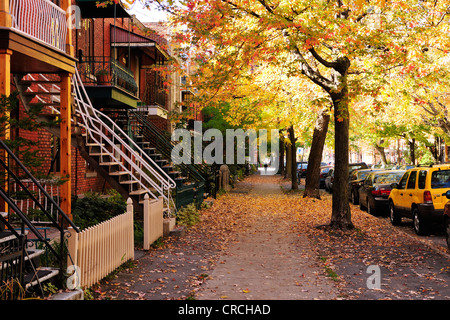 Street con le tipiche case a due piani delle staired e ingressi, Montreal, Quebec, Canada Foto Stock