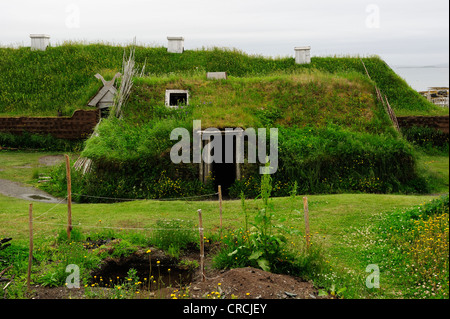 Primo insediamento vichingo sul continente americano, circa 1000 anni fa, l'Anse aux Meadows, Terranova, Canada, America del Nord Foto Stock