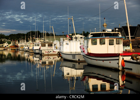 Le barche nel porto del Nord Rustico, Prince Edward Island, Canada, America del Nord Foto Stock