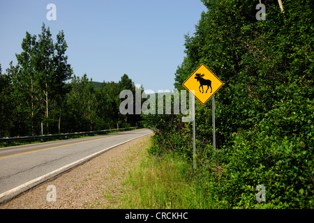 Cartello stradale di avvertimento di attraversamento alci, il Parc national de la Gaspésie parco nazionale delle Montagne Chic-Choc Foto Stock