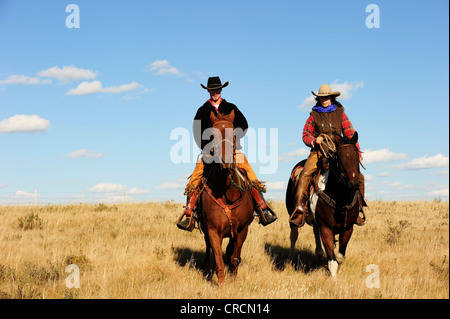 Cowboy e cowgirl cavalcare attraverso la prairie, Saskatchewan, Canada, America del Nord Foto Stock