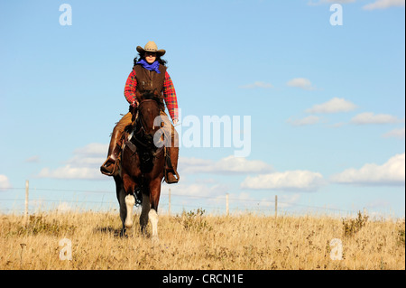 Cowgirl scorre attraverso la prairie, Saskatchewan, Canada, America del Nord Foto Stock