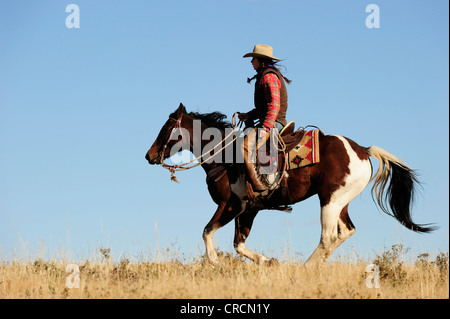 Cowgirl scorre attraverso la prairie, Saskatchewan, Canada, America del Nord Foto Stock