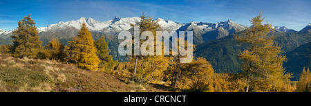 Laerchenwiesen ai prati di larici, di fronte all'Olperer, Fussstein, Schrammacher, Sagwandspitze, Vinaders Obernberg e montagne Foto Stock