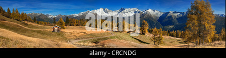 Laerchenwiesen ai prati di larici, di fronte all'Olperer, Fussstein, Schrammacher, Sagwandspitze, Vinaders Obernberg e montagne Foto Stock