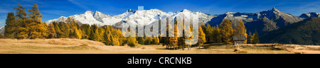 Laerchenwiesen ai prati di larici, di fronte all'Olperer, Fussstein, Schrammacher, Sagwandspitze, Vinaders Obernberg e montagne Foto Stock