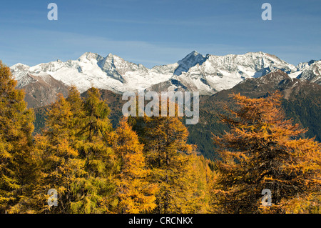 Laerchenwiesen ai prati di larici, di fronte all'Olperer, Fussstein, Schrammacher, Vinaders Obernberg e montagne, Tirolo, Austria Foto Stock