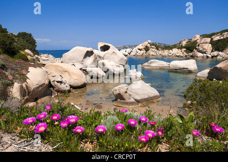 Le formazioni rocciose, esterno Gallura, Palau Sardegna, Italia, Europa Foto Stock