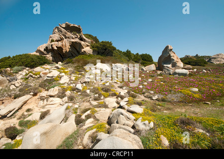 Le formazioni rocciose, esterno Gallura, Palau Sardegna, Italia, Europa Foto Stock