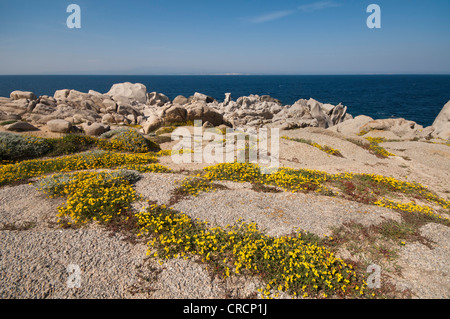 Le formazioni rocciose, esterno Gallura, Palau Sardegna, Italia, Europa Foto Stock