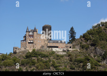 Burg Katz castello sopra il fiume Reno vicino San Goarshausen, Renania-Palatinato, Germania, Europa Foto Stock