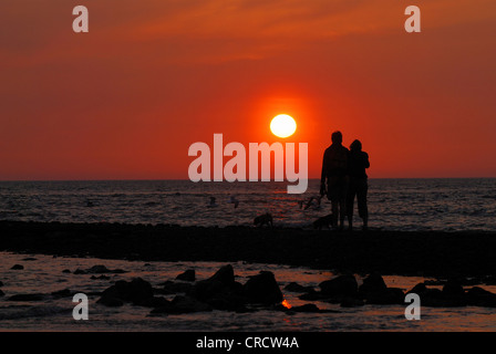 Matura in piedi sul groyne godendo il sunrise, Paesi Bassi, Paesi Bassi, Den Helder Foto Stock