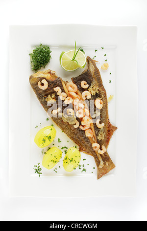 Fresh Passera di mare (Pleuronectes platessa), Buesum stile con gamberi e patate bollite Foto Stock