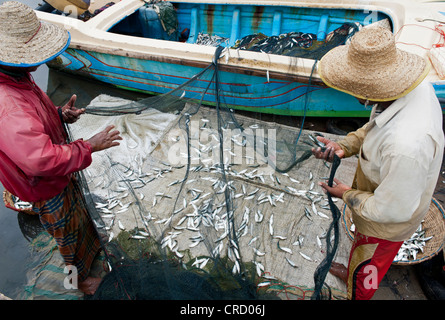 Sri Lanka dopo venticinque anni di violenza Foto Stock