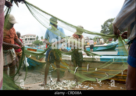 Sri Lanka dopo venticinque anni di violenza Foto Stock