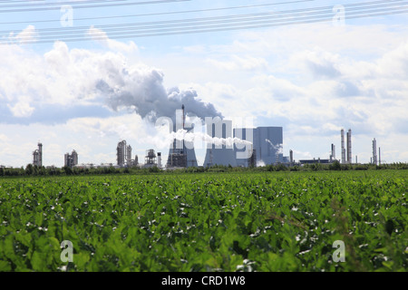 Lippendorf Power Plant, Lipsia, Germania, Europa Foto Stock