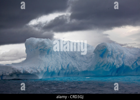 Iceberg sul sud oceano polare, Paulet Island, Antartide Foto Stock