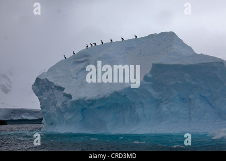 Ice berg, Antartide Foto Stock