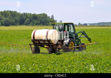 Il trattore è in funzione campo di fattoria di fagioli di soia di spruzzatura vicino Croswell Michigan Foto Stock