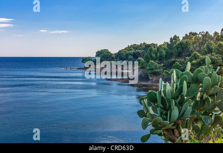 Europa Italia,Campania Cilento Ogliastro Marina e il lungomare Foto Stock