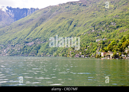 Ascona,città,Lakeside anteriore,colorata,colorata,Promenade, Negozi ristoranti, alberghi,nord capo del Lago Maggiore e la Svizzera Foto Stock