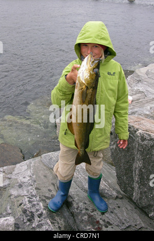 Merluzzo bianco, merluzzo bianco, codling (Gadus morhua), ragazzo è orgogliosa di presentare la sua cattura Foto Stock