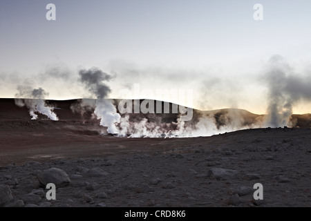 Fumarole in Eduardo Avaroa fauna Andina riserva nazionale, Potosi, Bolivia Foto Stock