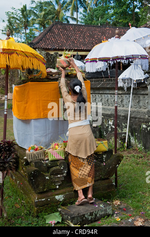 Ogni tempio di Bali ha un pianificate regolarmente festival, un odalan a celebrare l anniversario della dedicazione del tempio. Foto Stock