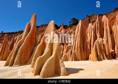 Il rosso Tsingy di Analamera, formazioni di arenaria nella parte nord del Madagascar, Africa, Oceano Indiano Foto Stock