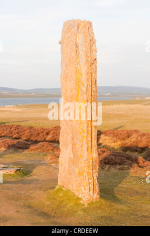 L'anello di Brodgar sulle isole di Orkney al tramonto Foto Stock