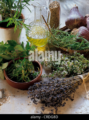 Herbes de Provence, articoli conoscenza Foto Stock