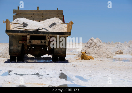 Carrello su un lago salato, Uyuni, Bolivia, Sud America Foto Stock