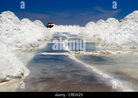 Carrello su un lago salato, Uyuni, Bolivia, Sud America Foto Stock