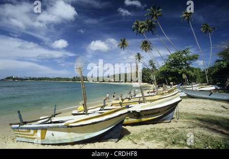 Barche sulla spiaggia di Unawatuna Foto Stock