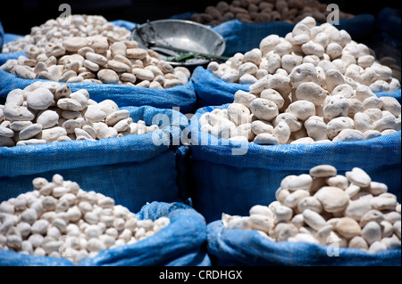 Sacchetti di bianco patate dolci (Ipomoea batatas), La Paz, Bolivia, Sud America Foto Stock