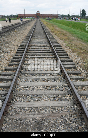 Binari del treno nel campo di concentramento di Auschwitz-Birkenau, Polonia, Europa Foto Stock