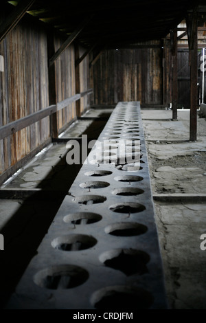 Servizi igienici in camera il campo di concentramento di Auschwitz-Birkenau, Polonia, Europa Foto Stock