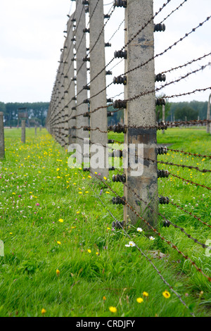 Recinzione nel campo di concentramento di Auschwitz-Birkenau, Polonia, Europa Foto Stock