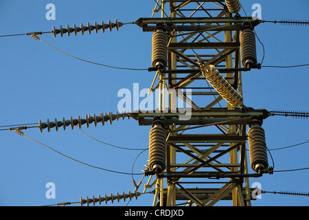 Isolatori su energia elettrica ad alta tensione pilone, American Canyon, CALIFORNIA, STATI UNITI D'AMERICA Foto Stock