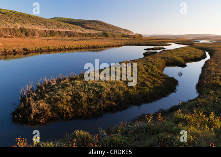 Schooner Bay, parte di I draghetti Estero, un estuario che drena la maggior parte del punto Reyes Penisola, punto Reyes Foto Stock