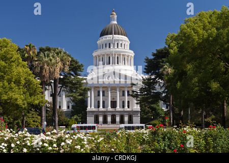 California State Capitol, sede del potere legislativo e il governatore della California di Sacramento, California, USA, America del Nord Foto Stock