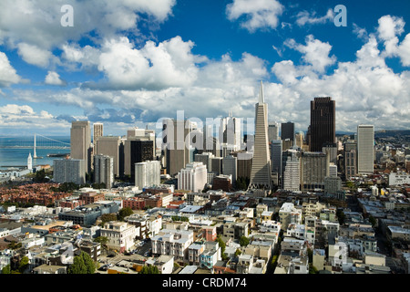 Vista dalla Torre Coit oltre il centro finanziario con la Piramide Transamerica, San Francisco, California, Stati Uniti d'America Foto Stock