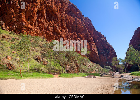 Simpsons Gap in West MacDonnell Ranges Foto Stock