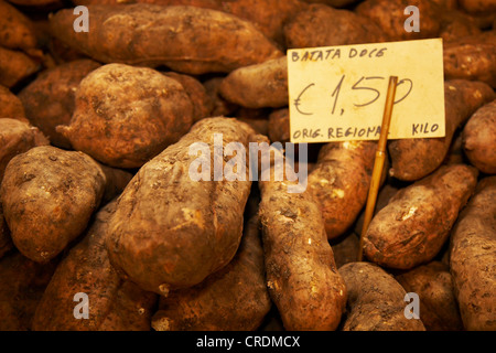 La patata dolce (Ipomoea batatas), al mercato: patate dolci, Portogallo, Madera, Funchal Foto Stock