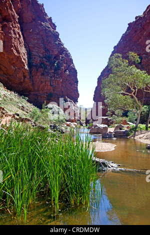 Simpsons Gap in West MacDonnell Ranges Foto Stock