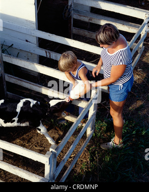 L' ALIMENTAZIONE DEI VITELLI IN VITELLO HUTCHES / PENNSYLVANIA Foto Stock